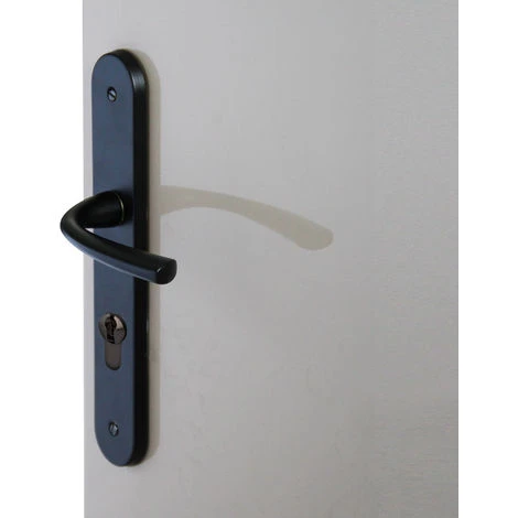Ensemble Poignée De Porte Perney En Zamak Sur Plaque Acier Avec Trou Cylindre Décor Noir/mat 1 Ensemble Poignée De Porte Perney En Zamak Sur Plaque Acier Avec Trou Cylindre Décor Noir/mat