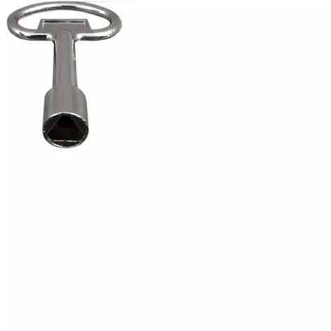 Clé Supplémentaire Spécifique Pour Nos Cadenas Pompier à Serrure Triangle 9 Mm 1 Clé Supplémentaire Spécifique Pour Nos Cadenas Pompier à Serrure Triangle 9 Mm