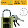 ARCADE Cadenas 50 Mm En Acier Inoxydable - Garantie 2 Ans