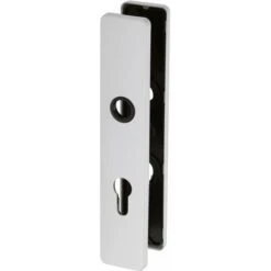 Plaque Blanche - Clé I - ARCOLOR 710 Et 232 - La Paire - Vachette