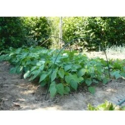 Vilmorin - Arceau Flexible Vert