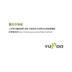 VINGO Rampe D'escalier Acier Inoxydable Main Courante Balustrade Garde-corps Argenté 80 Cm 5 Crossbars 8 VINGO Rampe D'escalier Acier Inoxydable Main Courante Balustrade Garde-corps Argenté 80 Cm 5 Crossbars -Promos Matériel Boutique 58415309 4