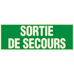 Panneau Photoluminescent Sortie De Secours - Rigide 330x120mm - 4149073