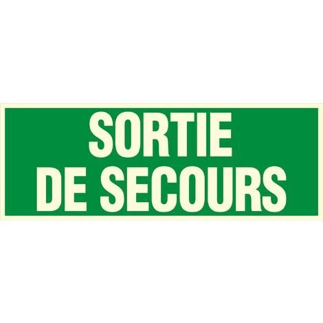 Panneau Photoluminescent Sortie De Secours - Rigide 330x120mm - 4149073 1 Panneau Photoluminescent Sortie De Secours - Rigide 330x120mm - 4149073