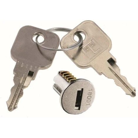 Barillet De Remplacement Pour Serrures LEHMANN Avec 2 Clés Métalliques Profil B1 Insert Cylindre Porte Boîte Aux Lettres Meuble Noyau Verrou Fermeture Sécurité, Série 18201 - 18300 1 Barillet De Remplacement Pour Serrures LEHMANN Avec 2 Clés Métalliques Profil B1 Insert Cylindre Porte Boîte Aux Lettres Meuble Noyau Verrou Fermeture Sécurité, Série 18201 - 18300