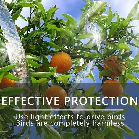 Ruban Anti-oiseaux, 2 Pièces De Ruban Répulsif Pour Oiseaux, Ruban Réfléchissant Pour Oiseaux, Ruban Dissuasif, Ruban Adhésif Double Face Laser Pour Effrayer Les Oiseaux, Effrayer Les Oiseaux, Protége 3 Ruban Anti-oiseaux, 2 Pièces De Ruban Répulsif Pour Oiseaux, Ruban Réfléchissant Pour Oiseaux, Ruban Dissuasif, Ruban Adhésif Double Face Laser Pour Effrayer Les Oiseaux, Effrayer Les Oiseaux, Protége – Image 3